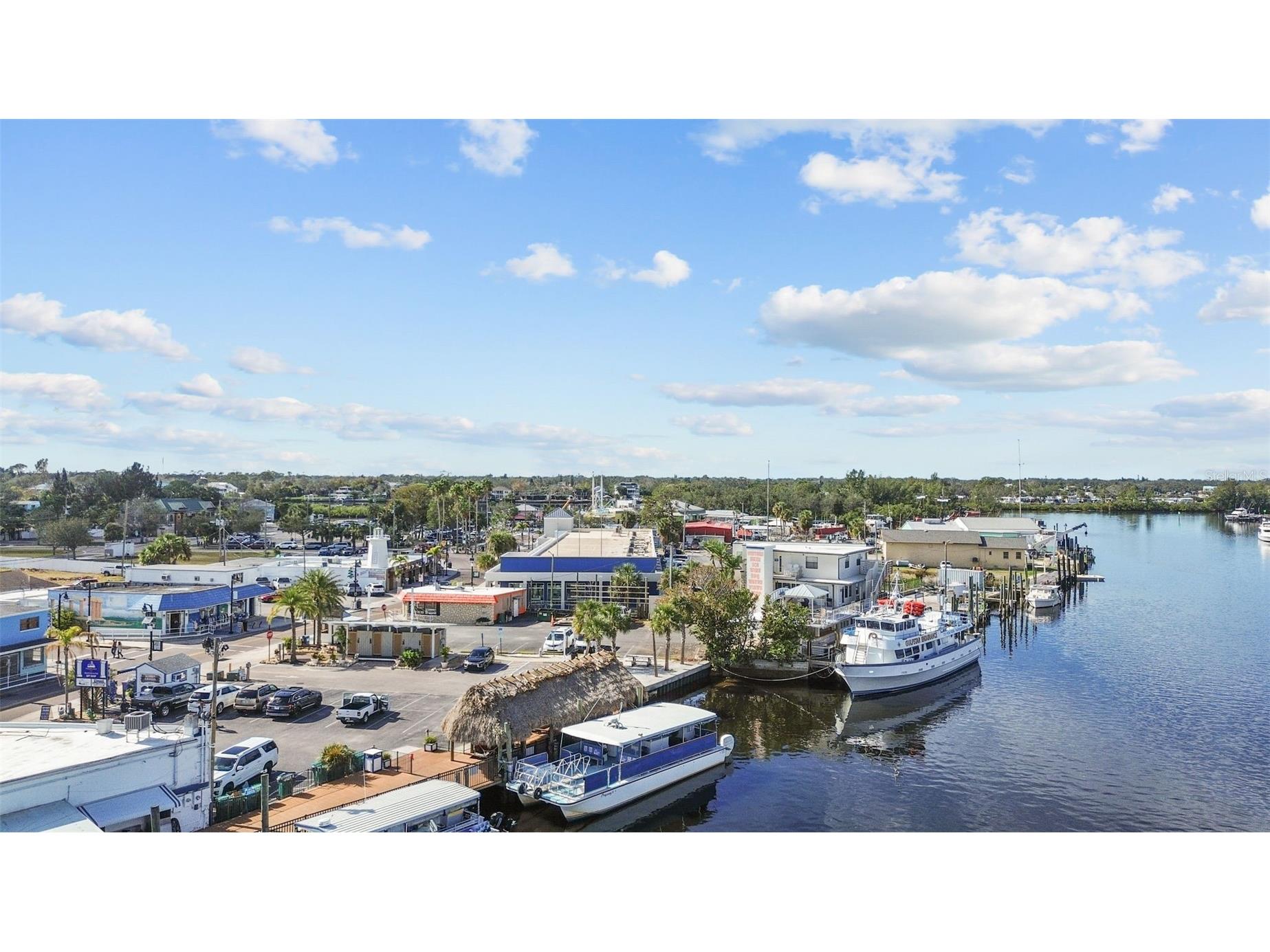 731 Brittany Park Boulevard Tarpon Springs FL 34689 TB8525791 image46