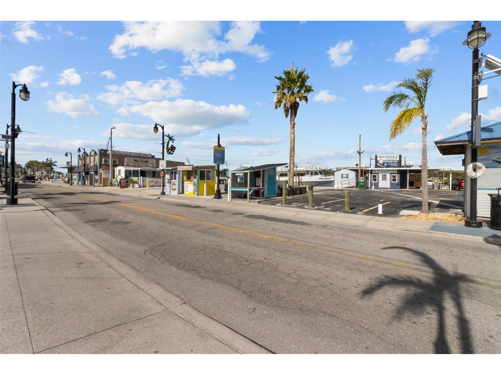 731 Brittany Park Boulevard Tarpon Springs FL 34689 TB8525791 image52