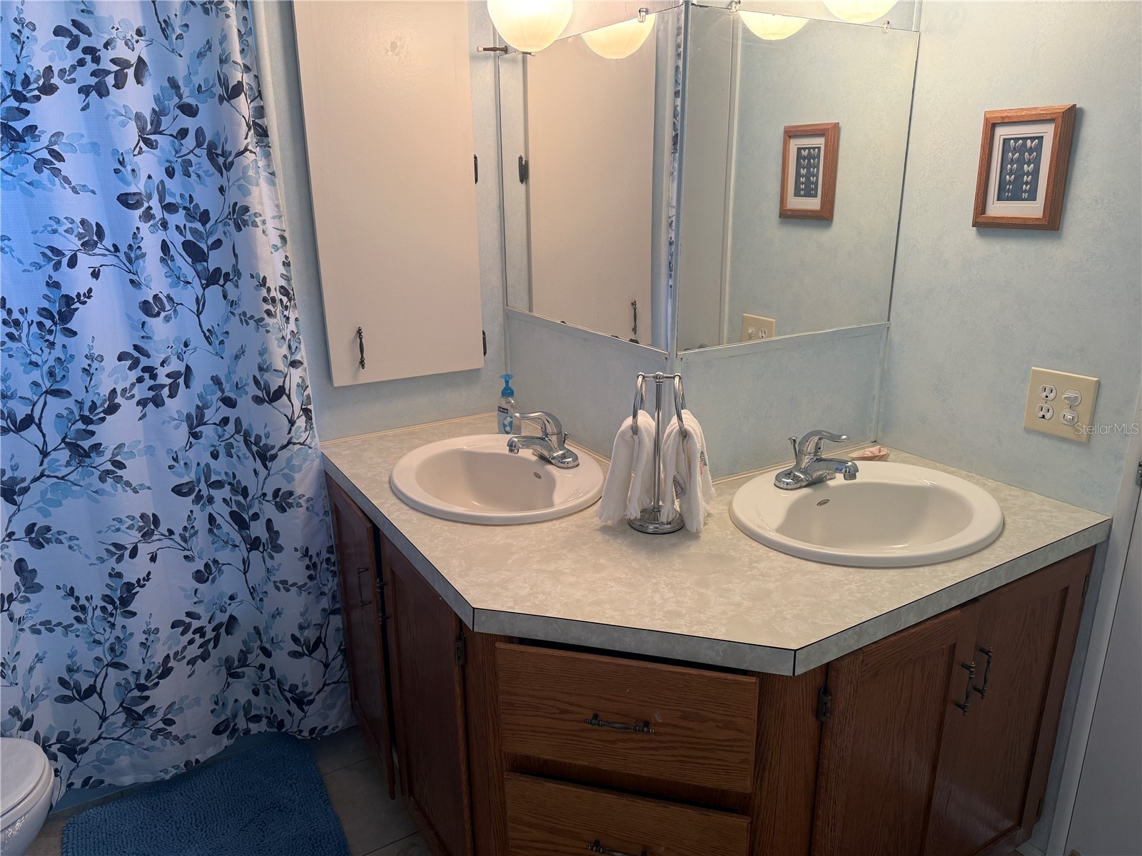 731 Camellia Drive Venice FL 34293 N6143633 image5
