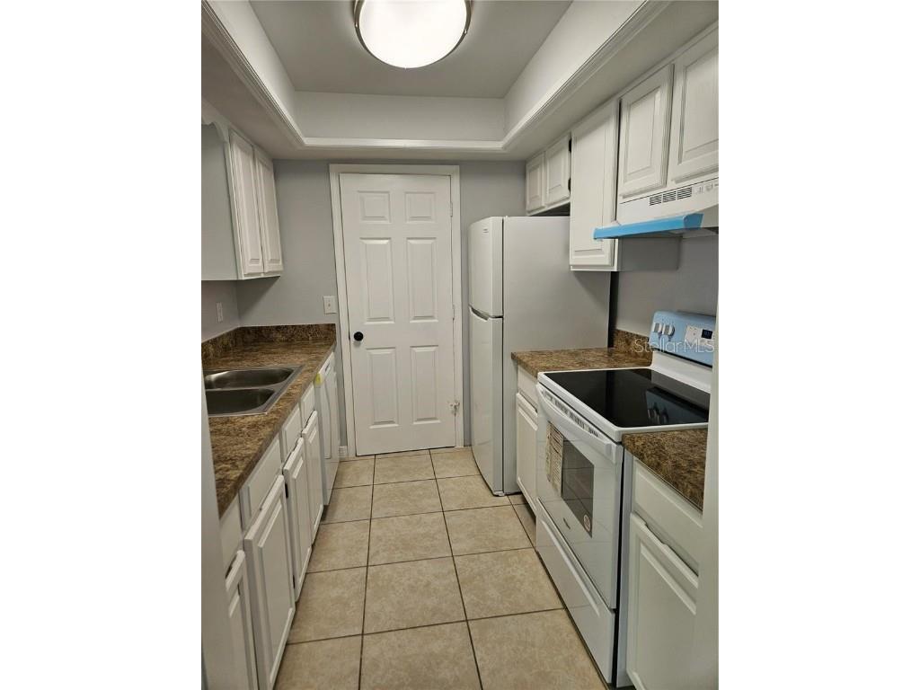 731 E Alfred Street Tavares FL 32778 G5102057 image6