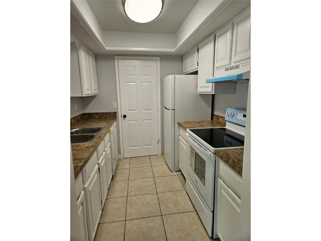 731 E Alfred Street Tavares FL 32778 G5102057 image7