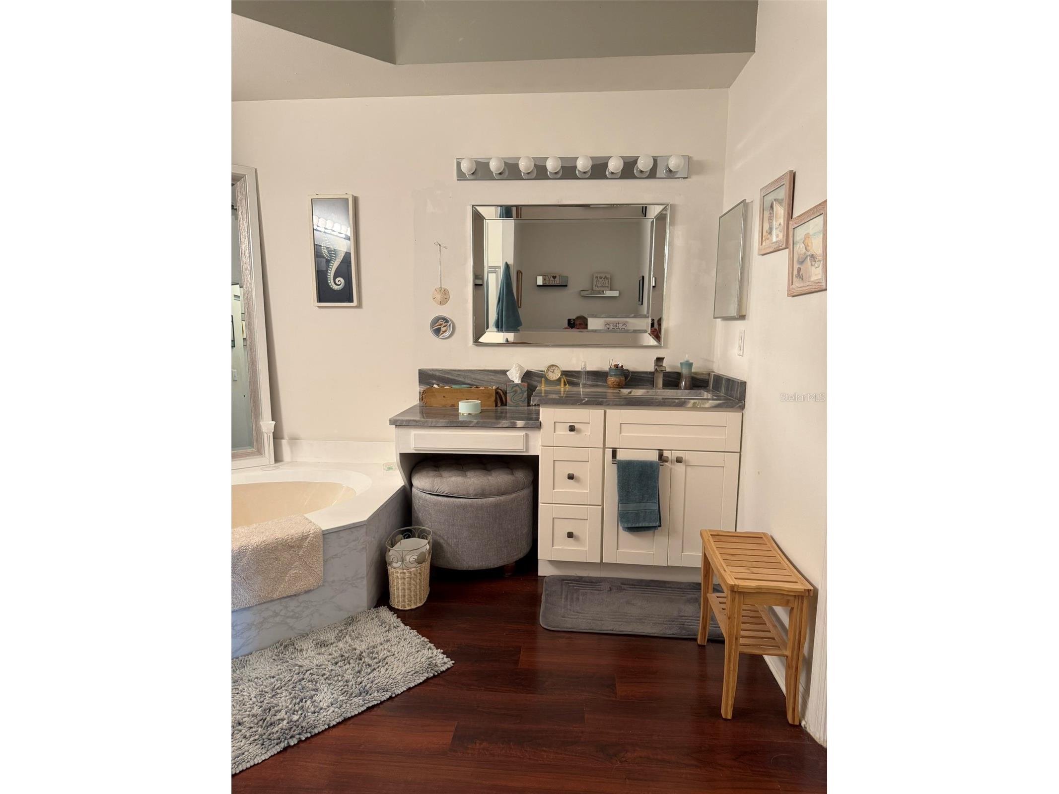731 Masterpiece Drive Sun City Center FL 33573 TB8499251 image22