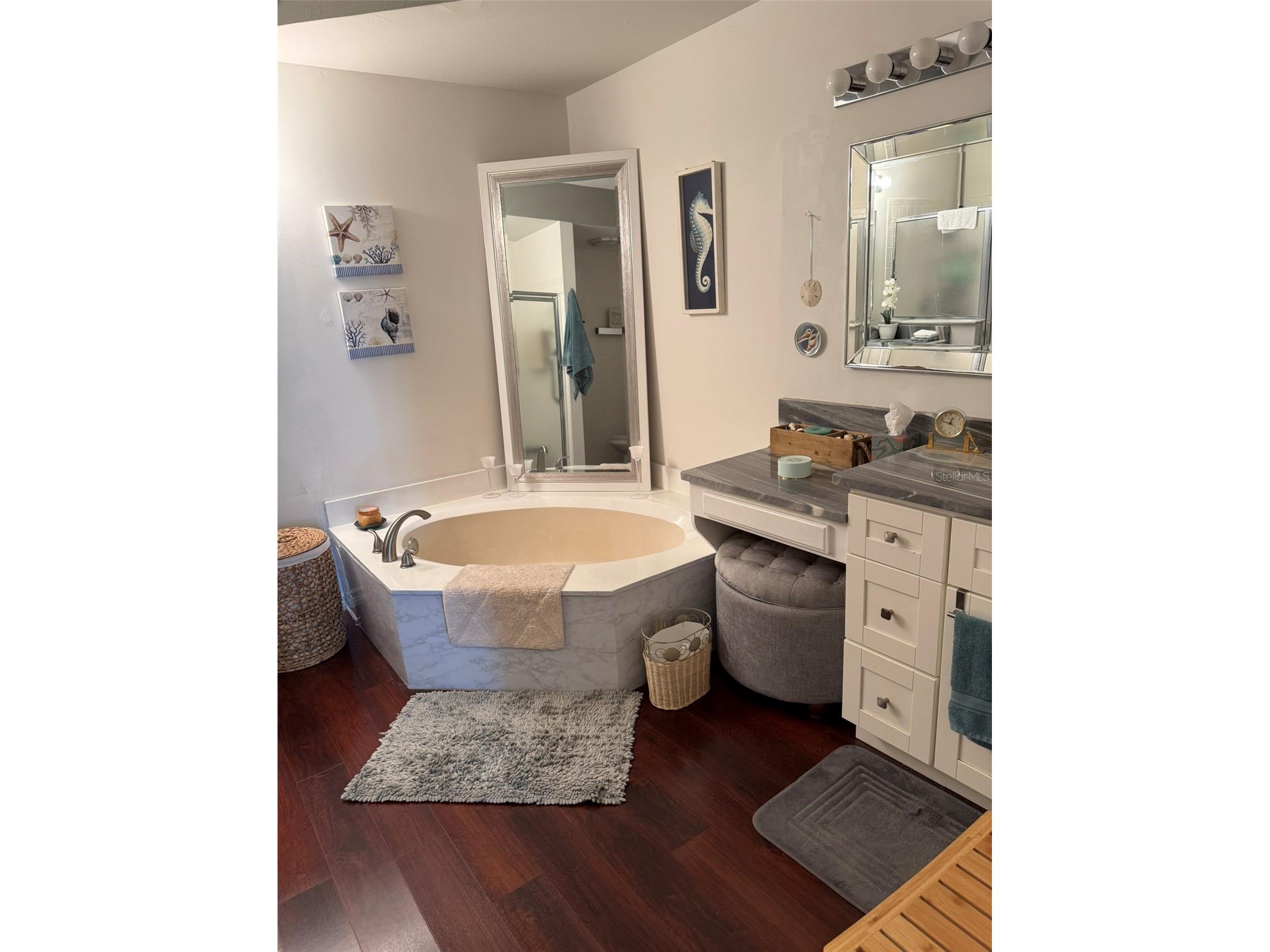 731 Masterpiece Drive Sun City Center FL 33573 TB8499251 image24