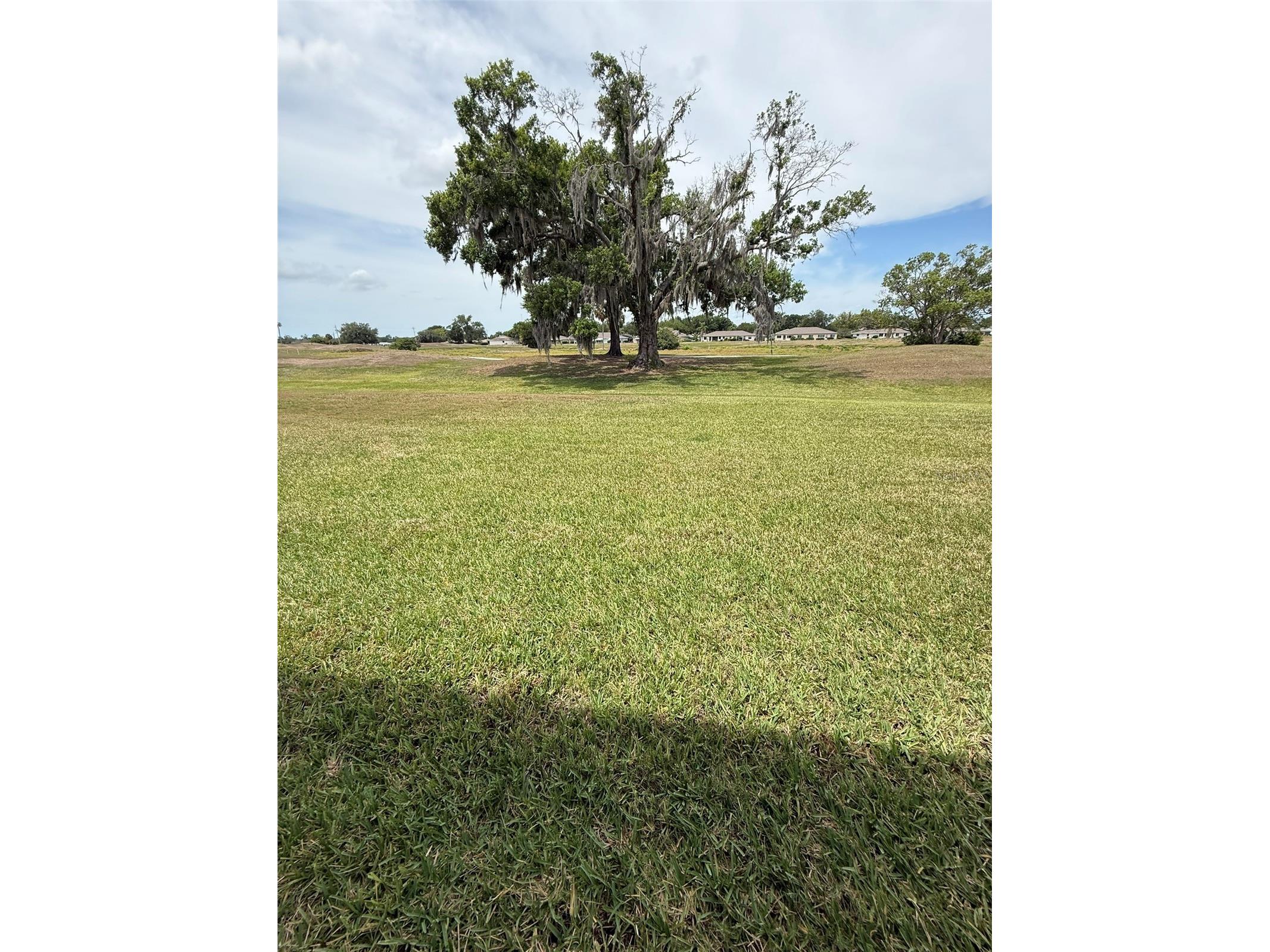 731 Masterpiece Drive Sun City Center FL 33573 TB8499251 image42