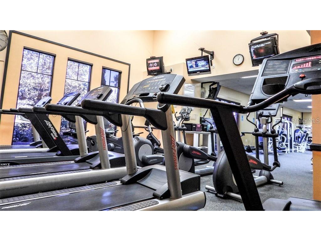 731 Masterpiece Drive Sun City Center FL 33573 TB8499251 image55