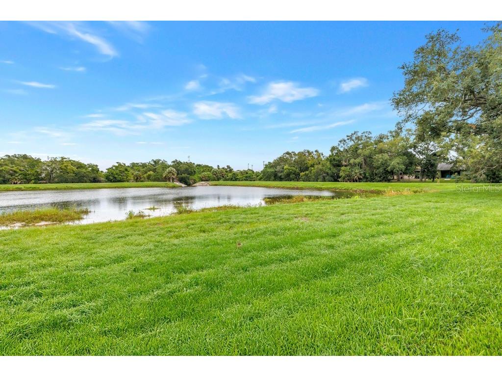 731 Oberlin Drive Clearwater FL 33765 TB8512862 image8