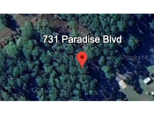 731 Paradise Boulevard Georgetown FL 32139 - LAKE GEORGE/ST. JOHN'S RIVER O6354382 image1