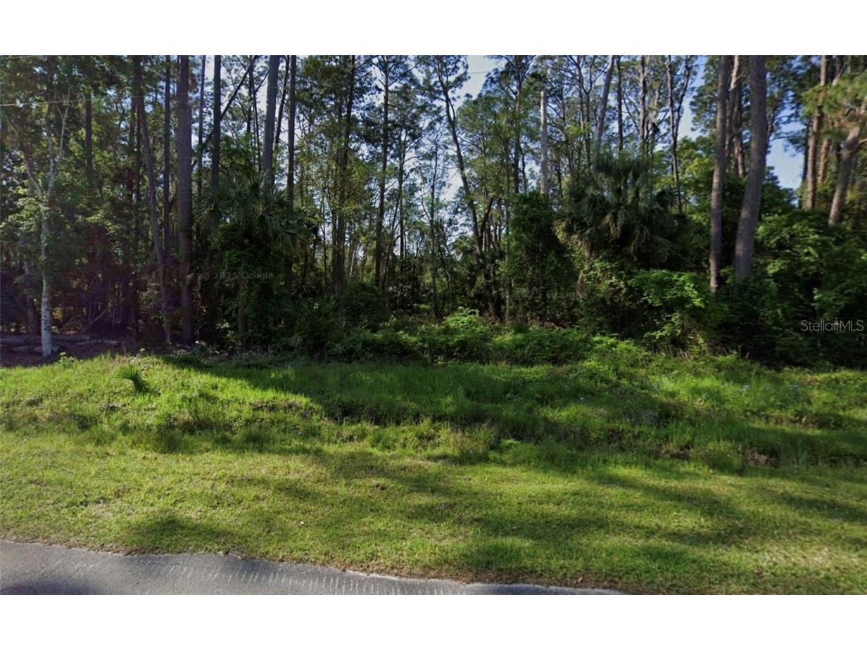 731 Paradise Boulevard Georgetown FL 32139 - LAKE GEORGE/ST. JOHN'S RIVER O6354382 image2