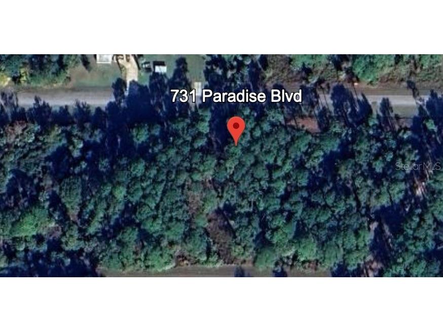 731 Paradise Boulevard Georgetown FL 32139 - LAKE GEORGE/ST. JOHN'S RIVER O6354382 image5
