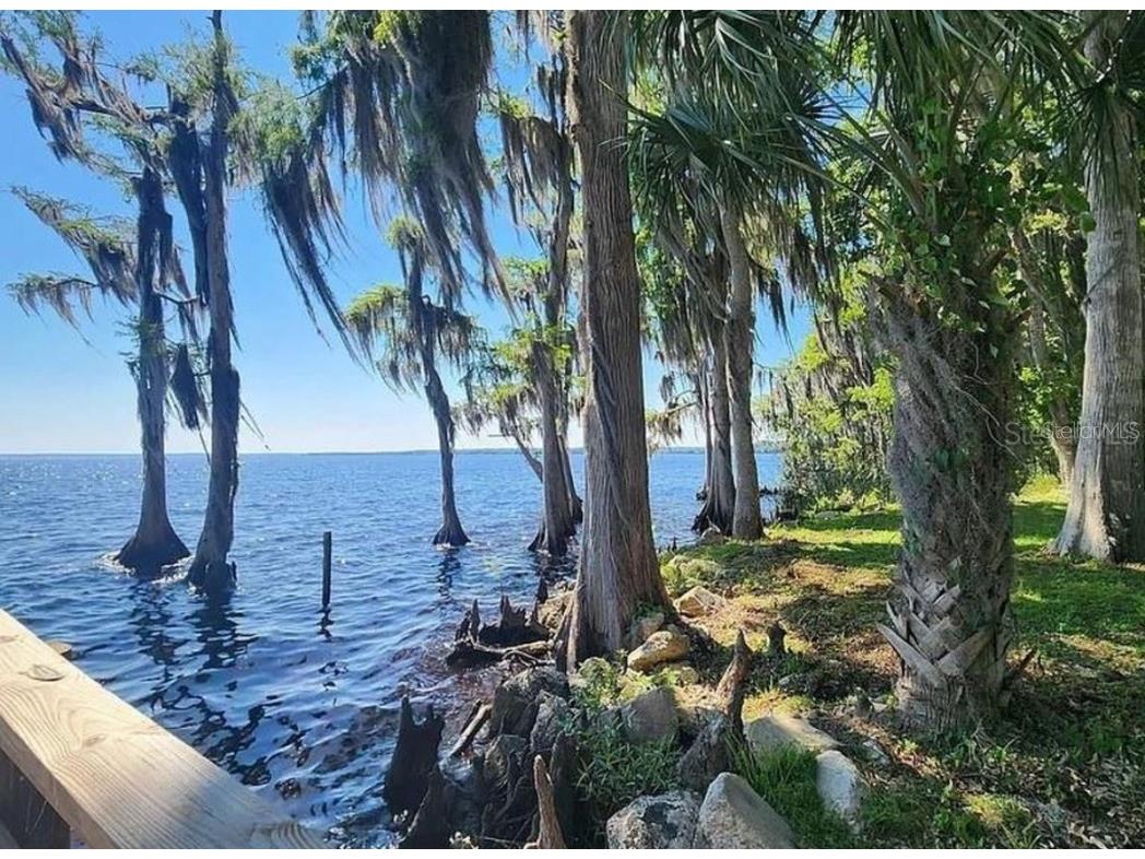 731 Paradise Boulevard Georgetown FL 32139 - LAKE GEORGE/ST. JOHN'S RIVER O6354382 image8