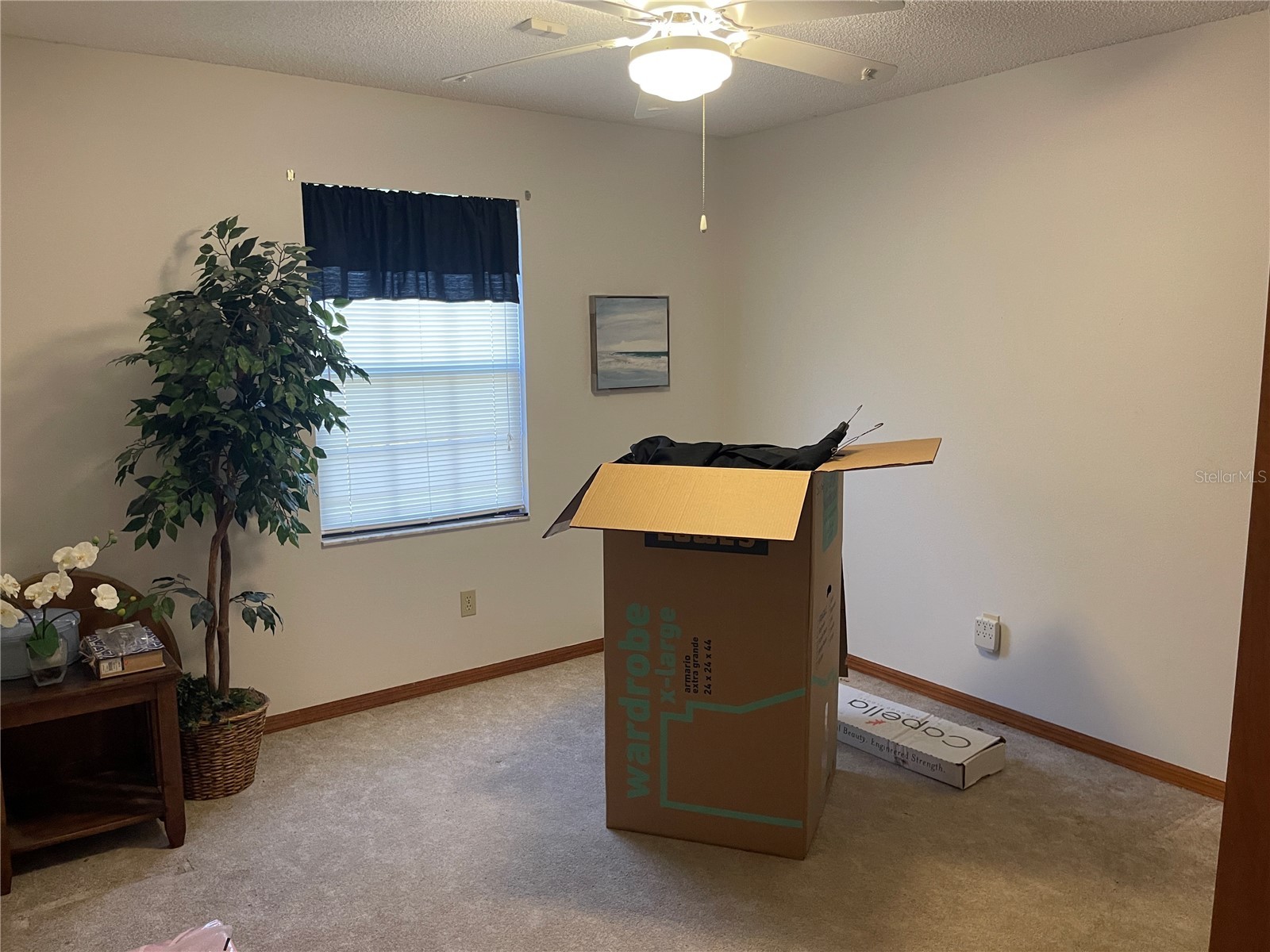 731 Roberts Avenue Deland FL 32724 FC316391 image30