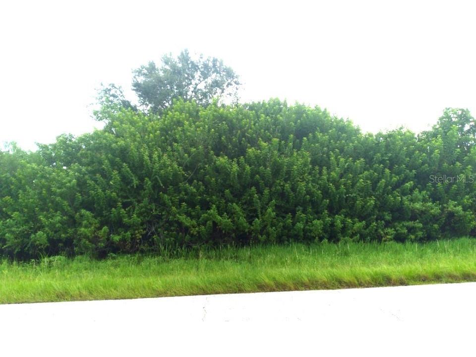 7310 David Boulevard Port Charlotte FL 33981 D6143593 image5