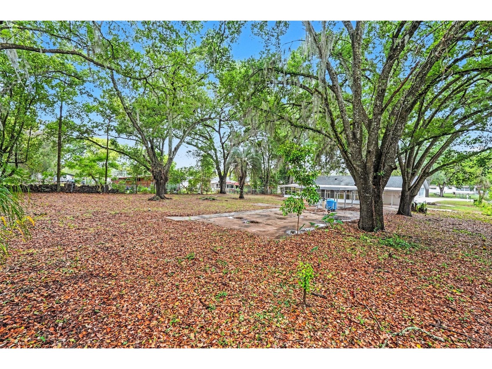 7310 Fort King Road Zephyrhills FL 33541 TB8494911 image44