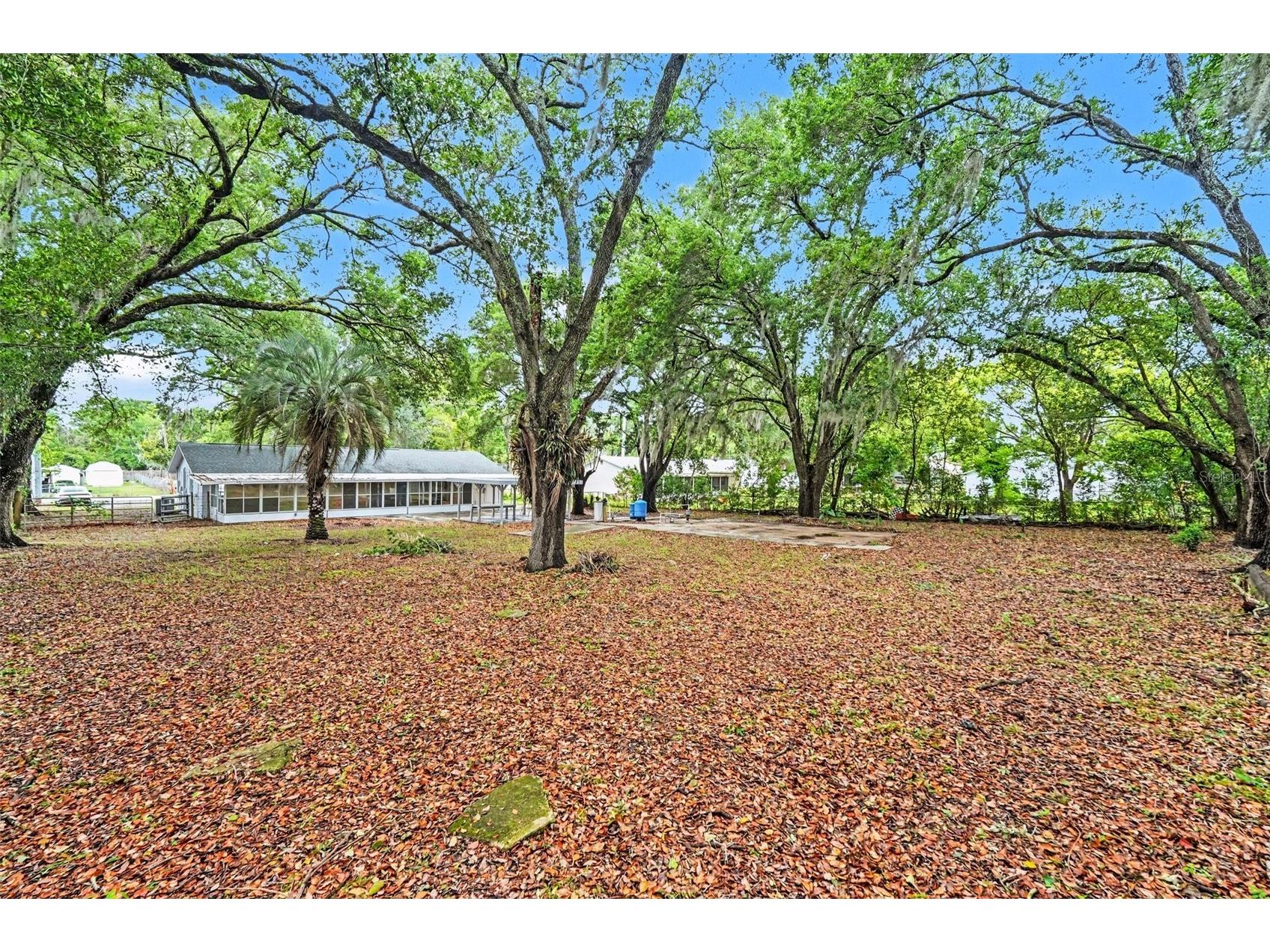 7310 Fort King Road Zephyrhills FL 33541 TB8494911 image46