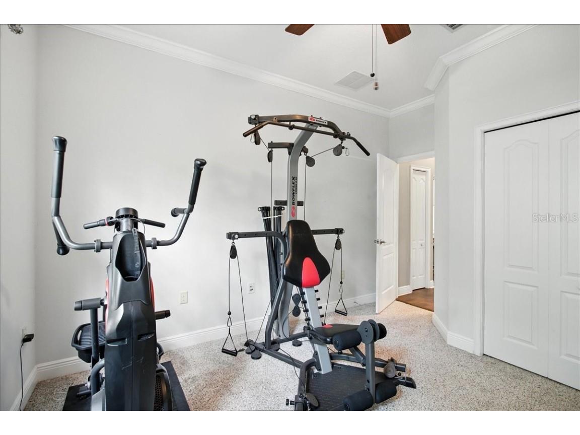 7310 S Shamrock Road Tampa FL 33616 TB8404343 image67