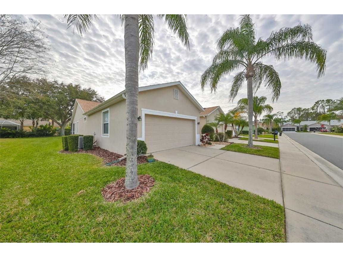 7310 Trovita Road Land O Lakes FL 34637 T3505205 image1
