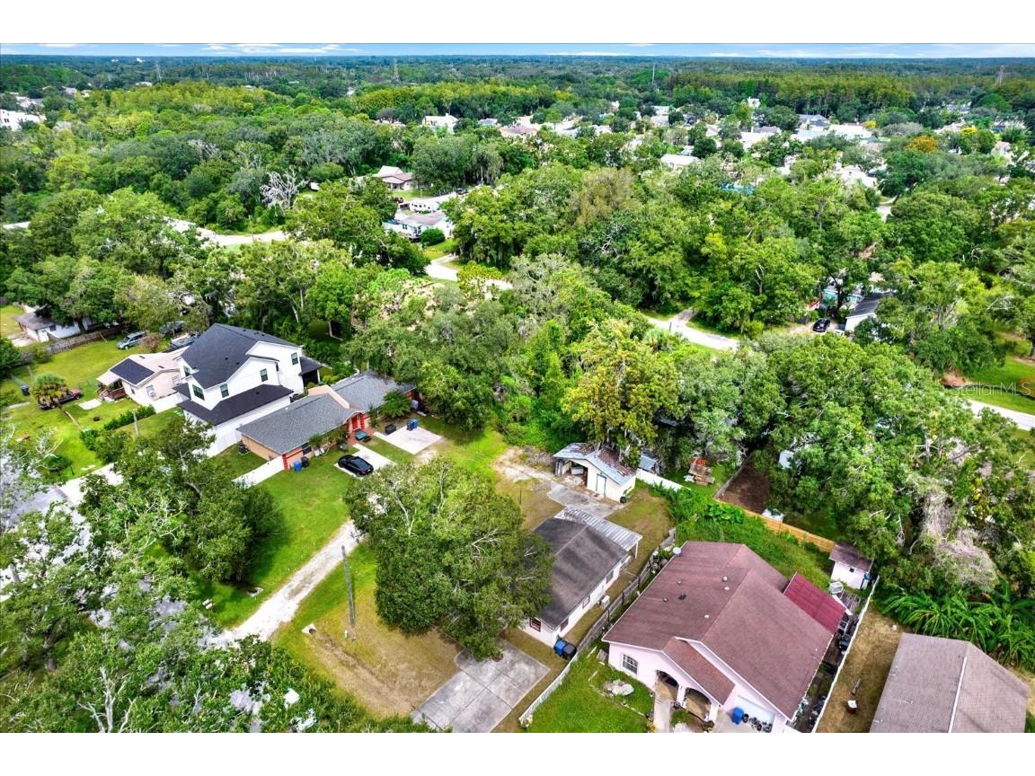 7311 Ardenwood Street Tampa FL 33625 TB8428848 image23