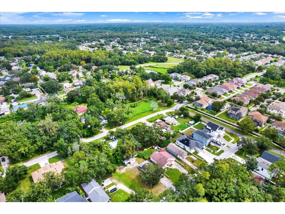 7311 Ardenwood Street Tampa FL 33625 TB8428848 image24