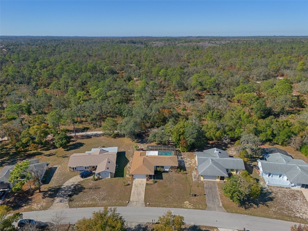 7311 Edinburgh Way Weeki Wachee FL 34613 TB8456909 image27