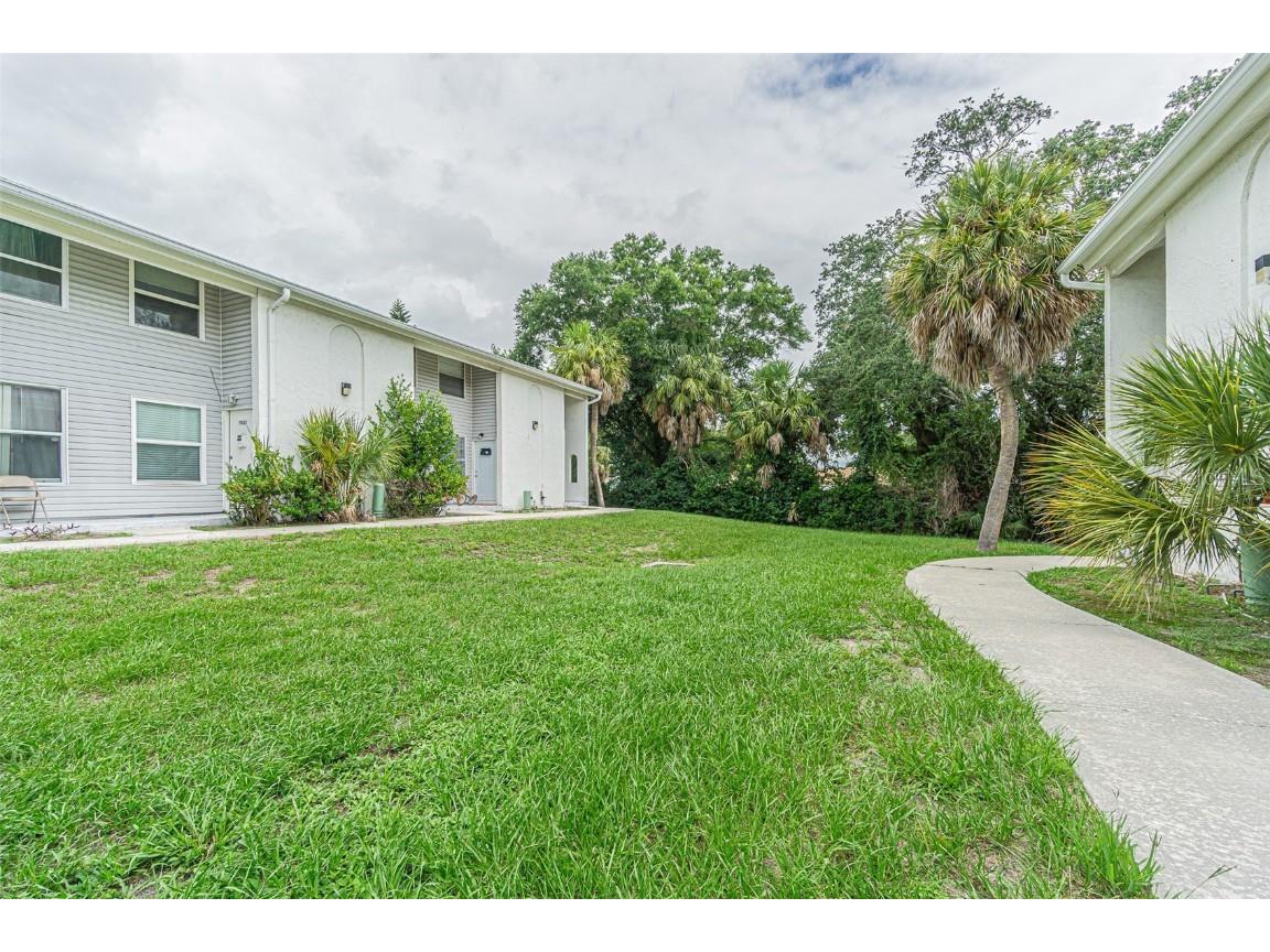 7311 Jackson Springs Road #7311 Tampa FL 33634 T3535256 image1
