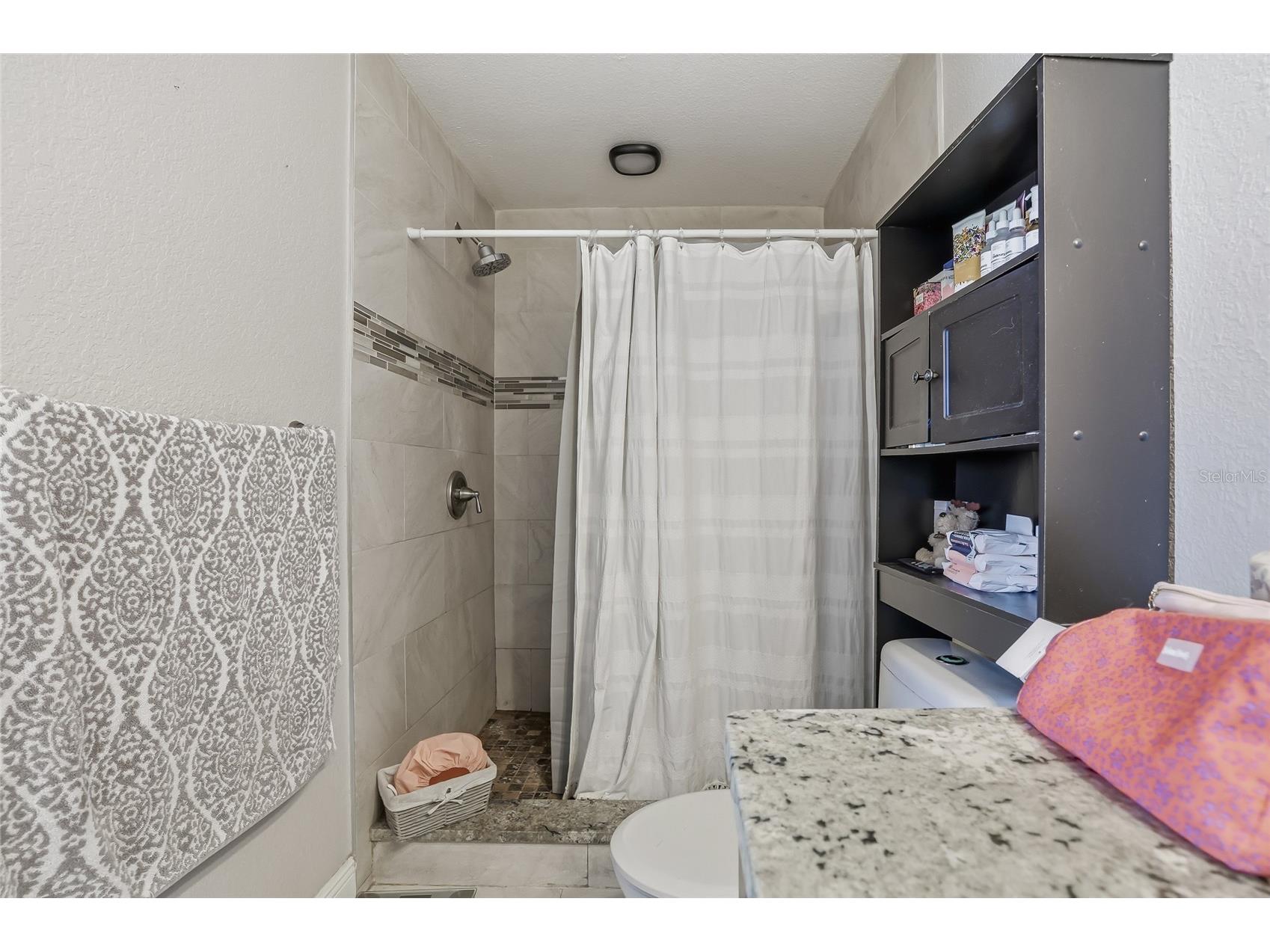 7313 Brookview Circle Tampa FL 33634 TB8458290 image50