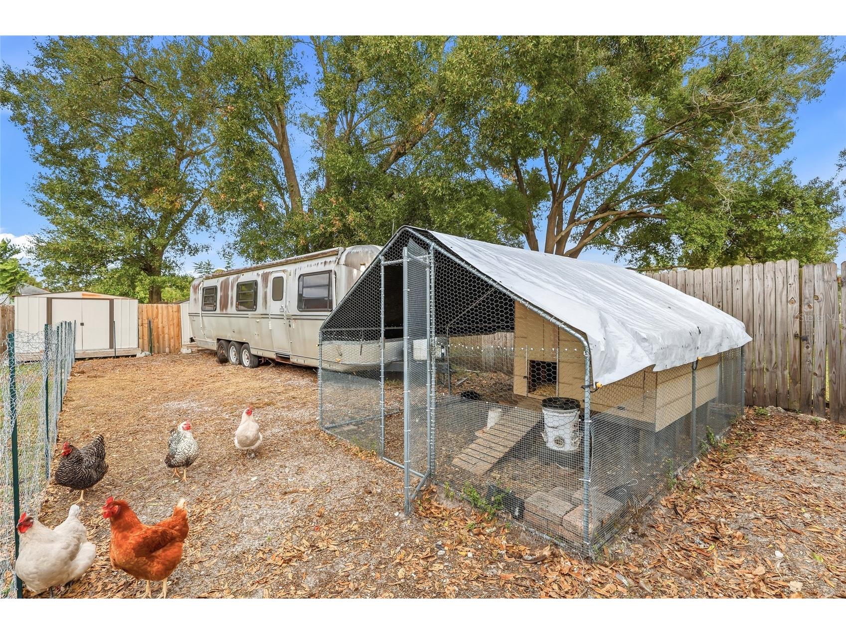 7313 Brookview Circle Tampa FL 33634 TB8458290 image55