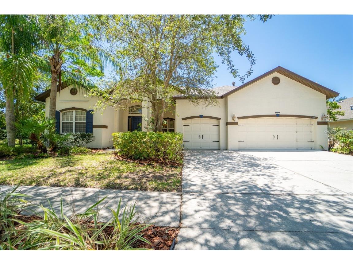 7313 Carrington Oaks Lane Apollo Beach FL 33572 T3446702 image1