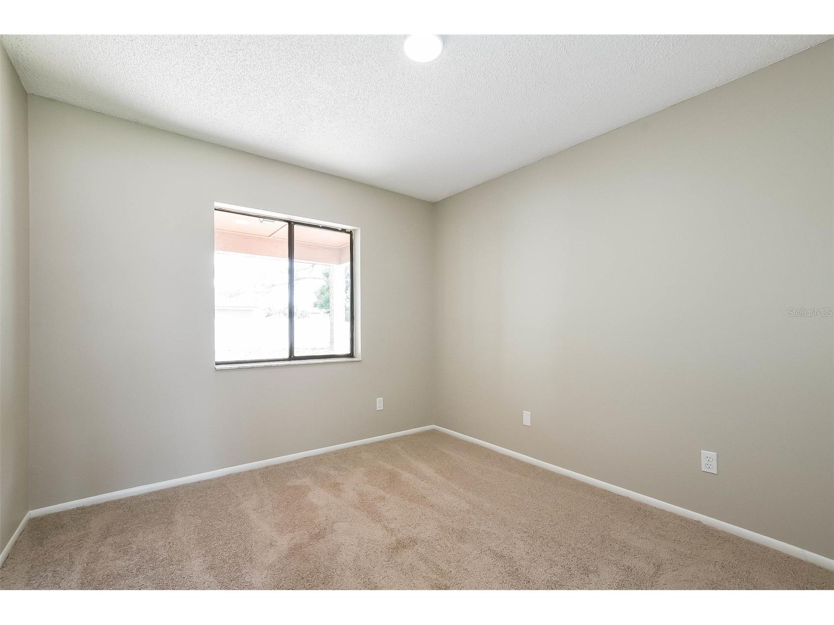 7313 Radiant Circle Orlando FL 32810 O6414212 image16