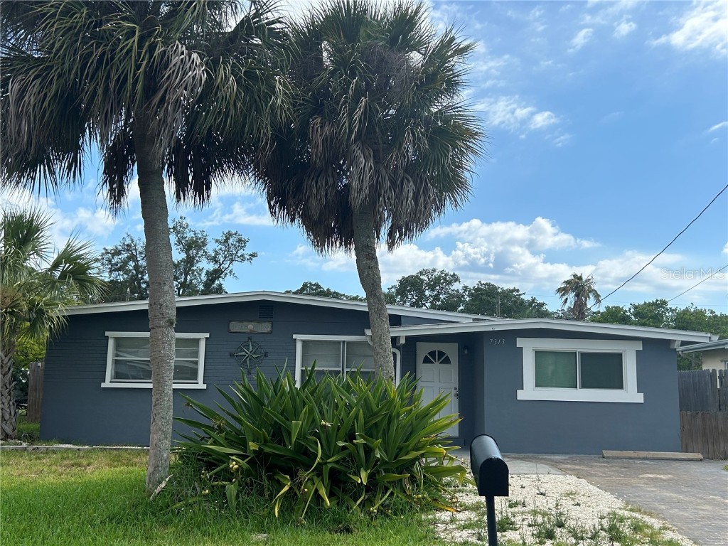 7313 Royal Palm Drive New Port Richey FL 34652 U8243366 image1
