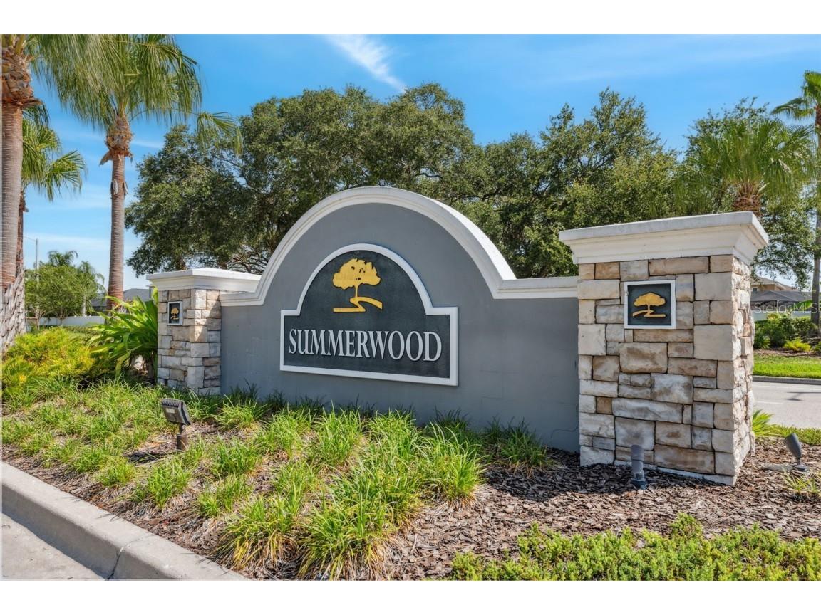 7314 Blue Beech Drive Riverview FL 33578 TB8455350 image26