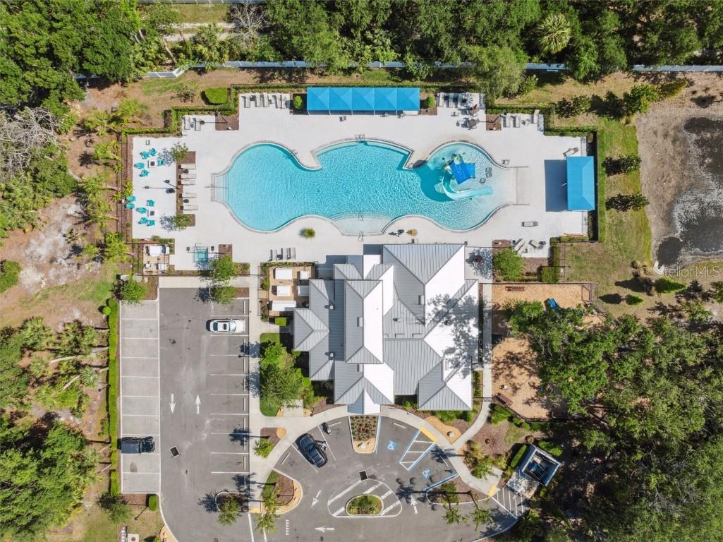 7314 Blue Beech Drive Riverview FL 33578 TB8455350 image35