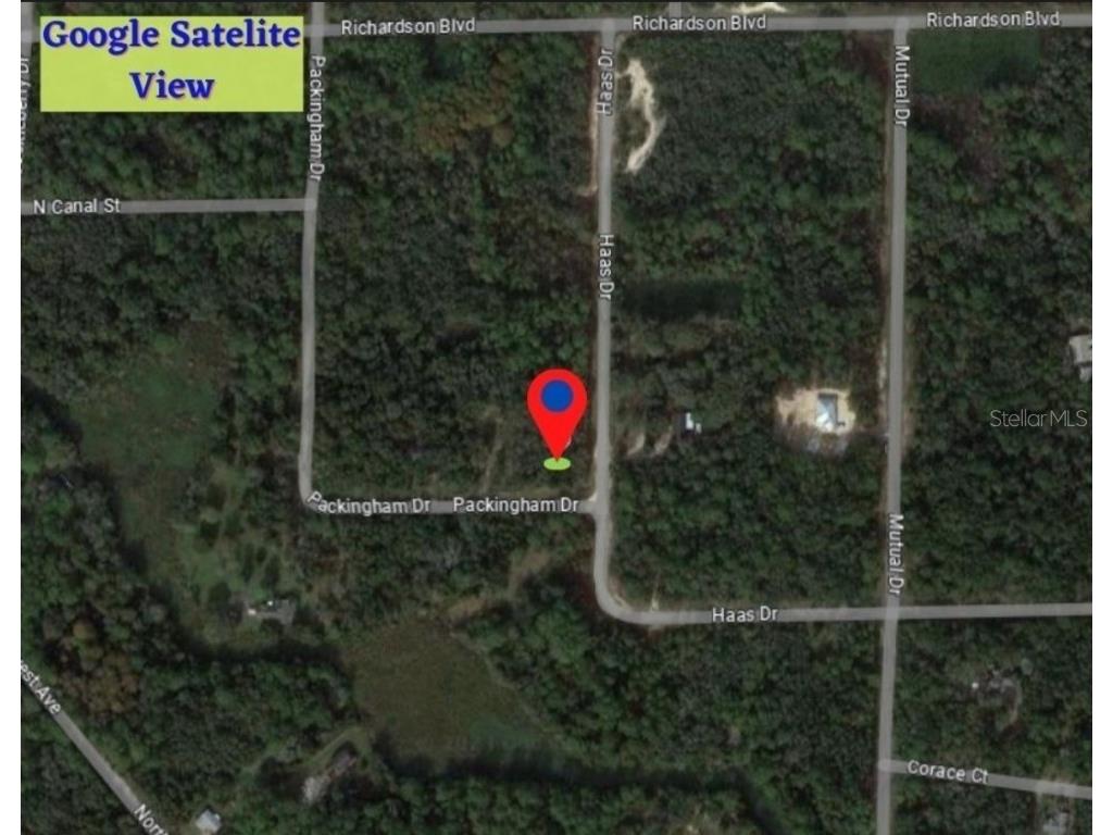 7314 Packingham Drive Webster FL 33597 OM660747 image1