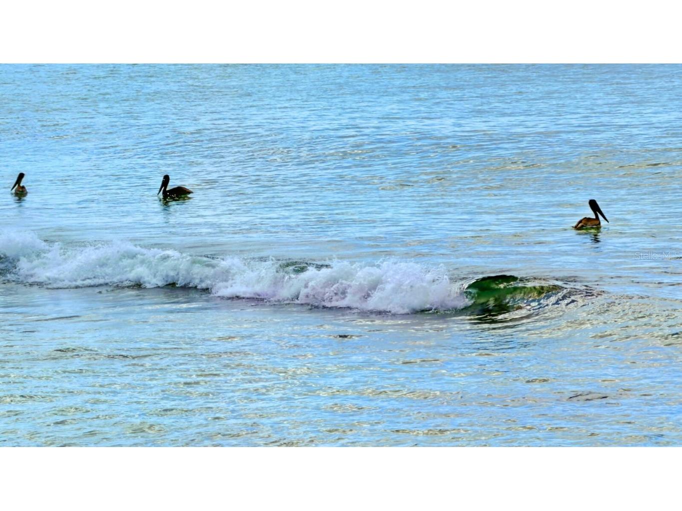 7314 Point Of Rocks Road Sarasota FL 34242 - GULF OF MEXICO A4668466 image25