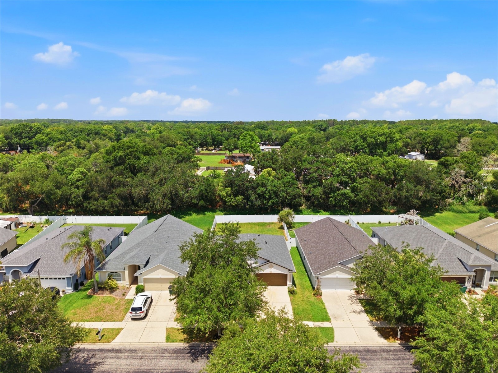 7315 Newhall Pass Lane Wesley Chapel FL 33545 TB8514280 image50