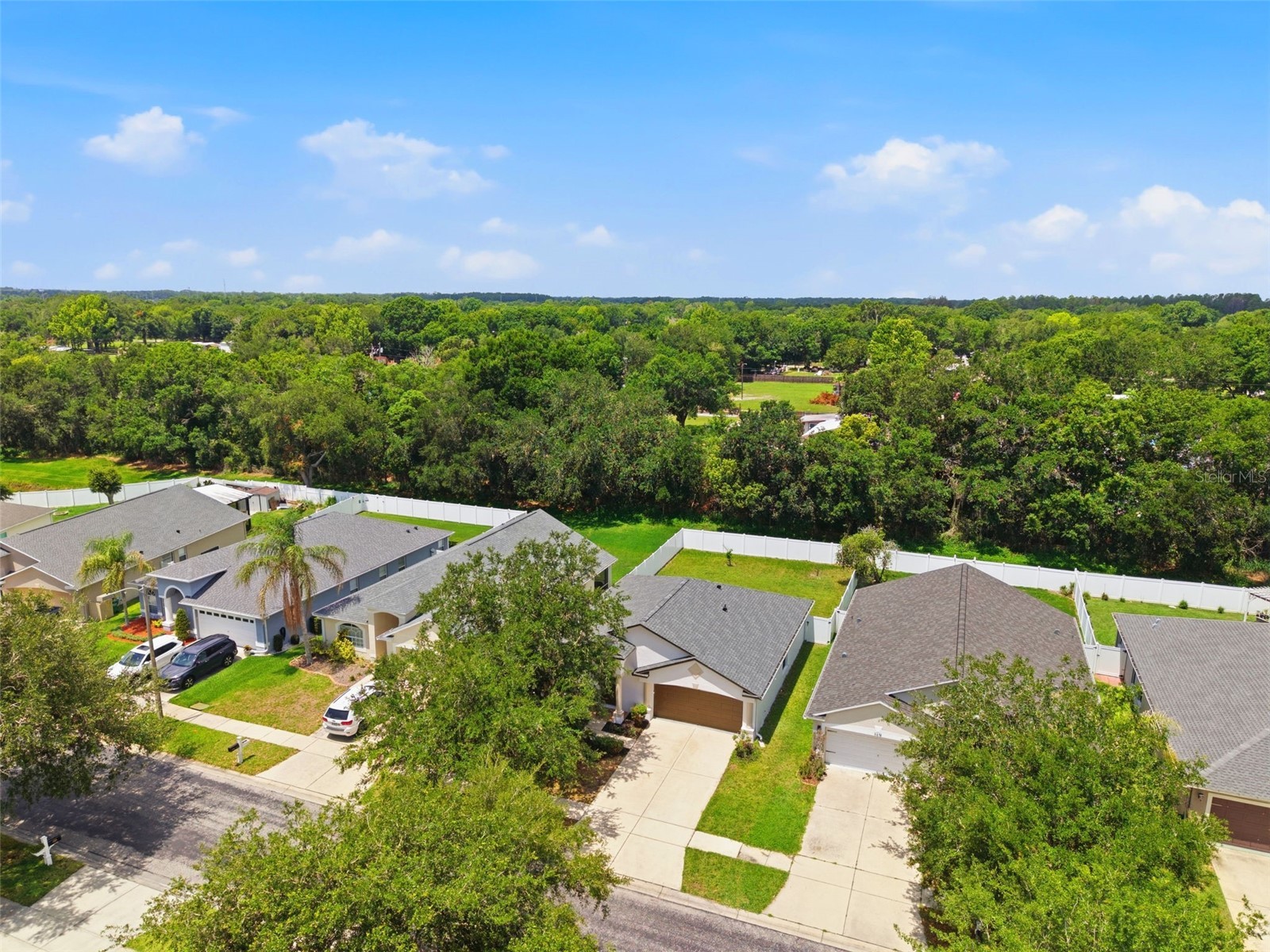 7315 Newhall Pass Lane Wesley Chapel FL 33545 TB8514280 image57