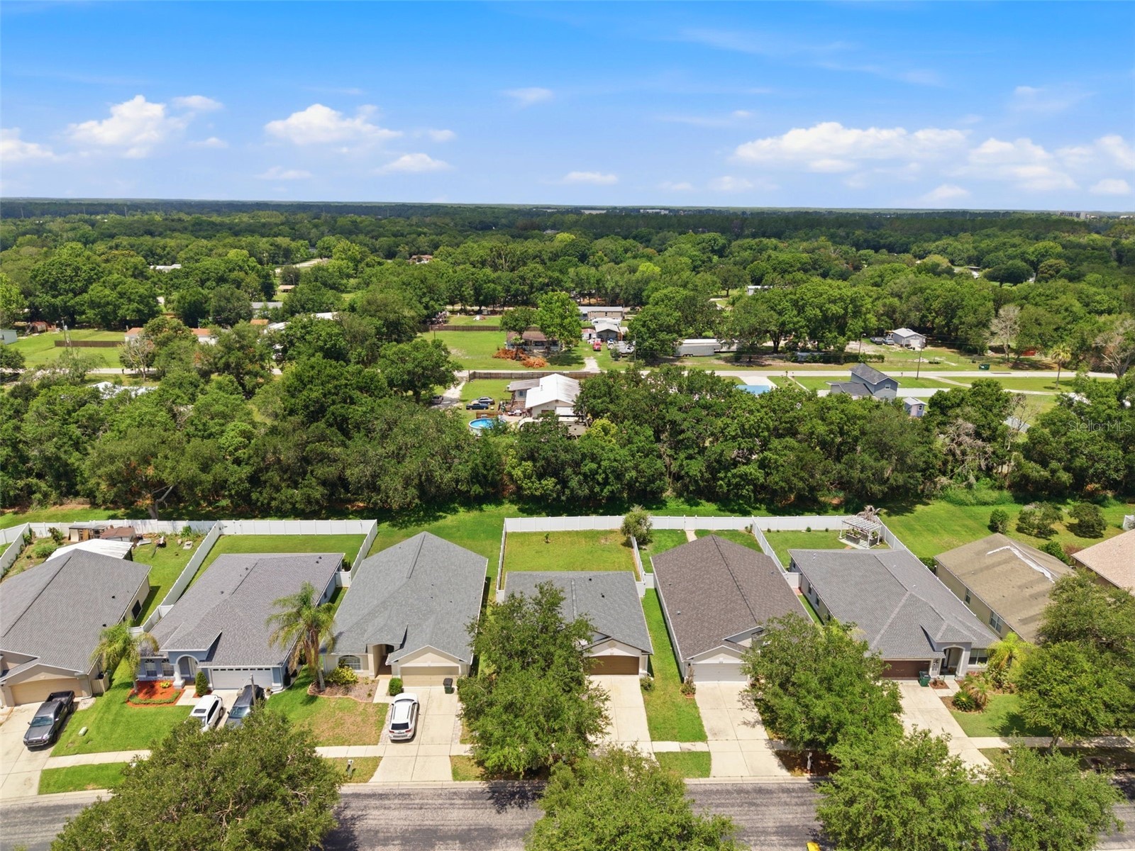 7315 Newhall Pass Lane Wesley Chapel FL 33545 TB8514280 image59