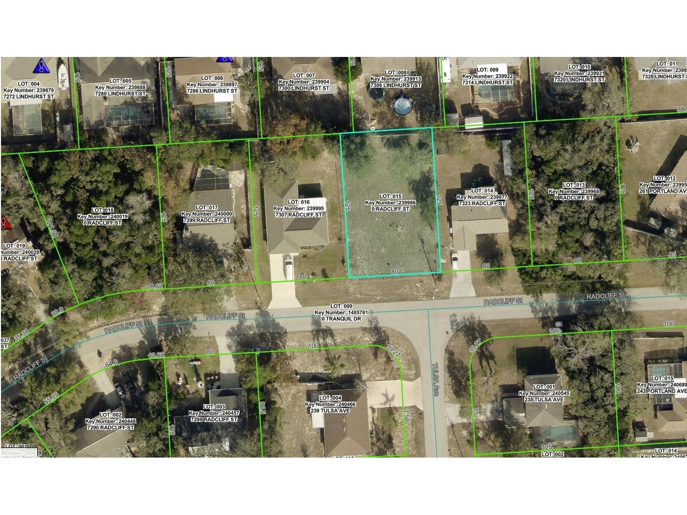 7315 Radcliff Street Spring Hill FL 34606 W7884148 image2
