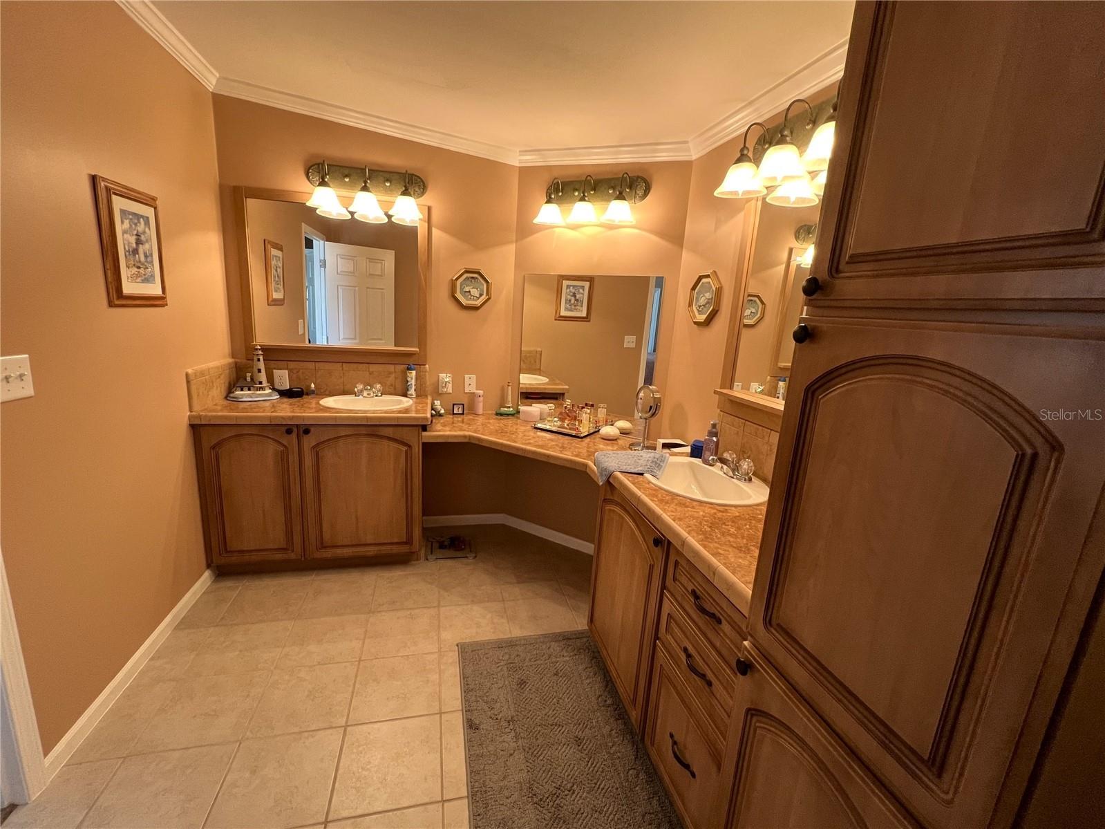7316 Americana Drive NE #146 Saint Petersburg FL 33702 TB8471847 image20