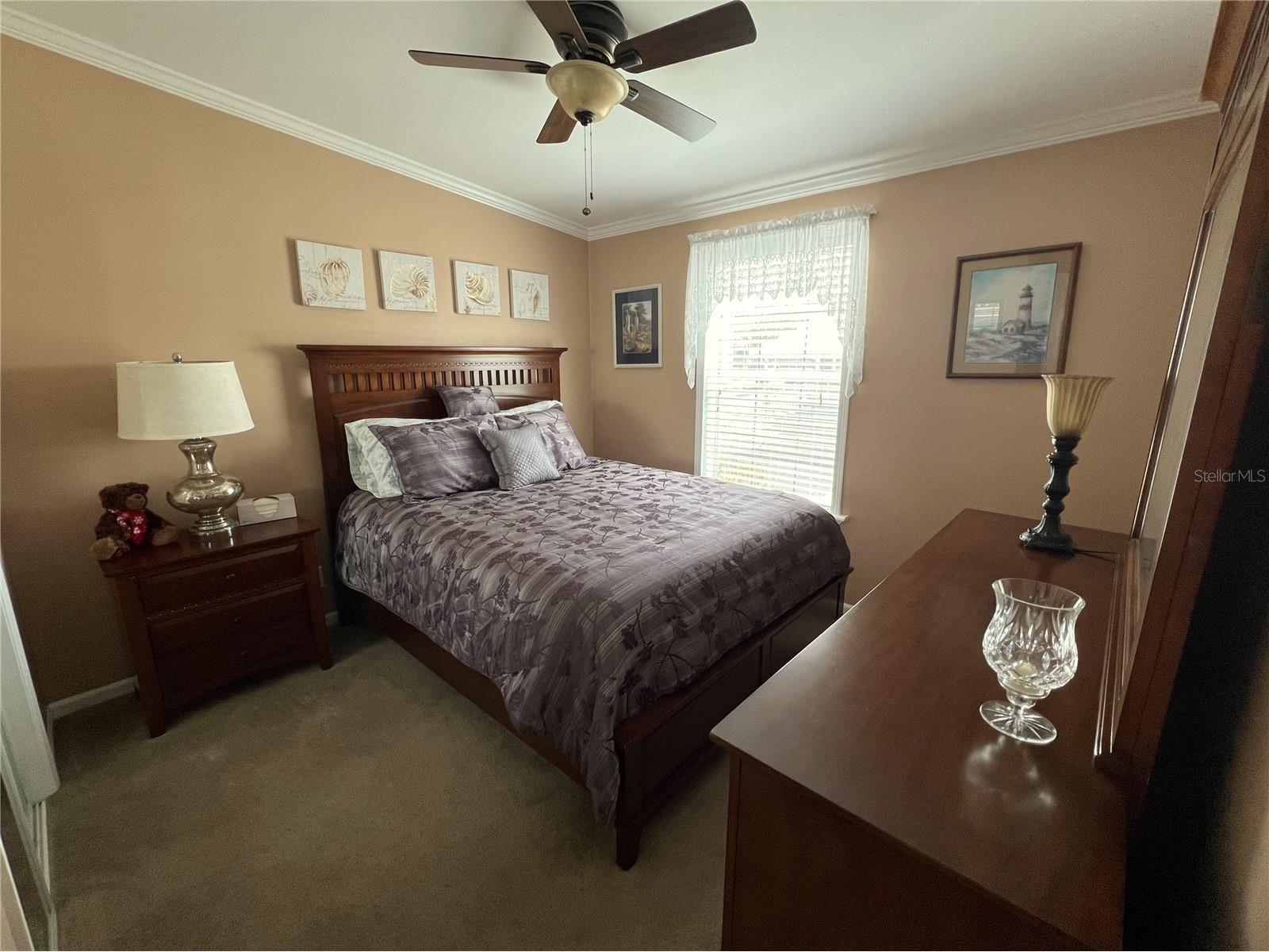 7316 Americana Drive NE #146 Saint Petersburg FL 33702 TB8471847 image22
