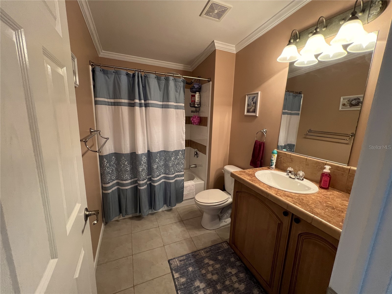 7316 Americana Drive NE #146 Saint Petersburg FL 33702 TB8471847 image23