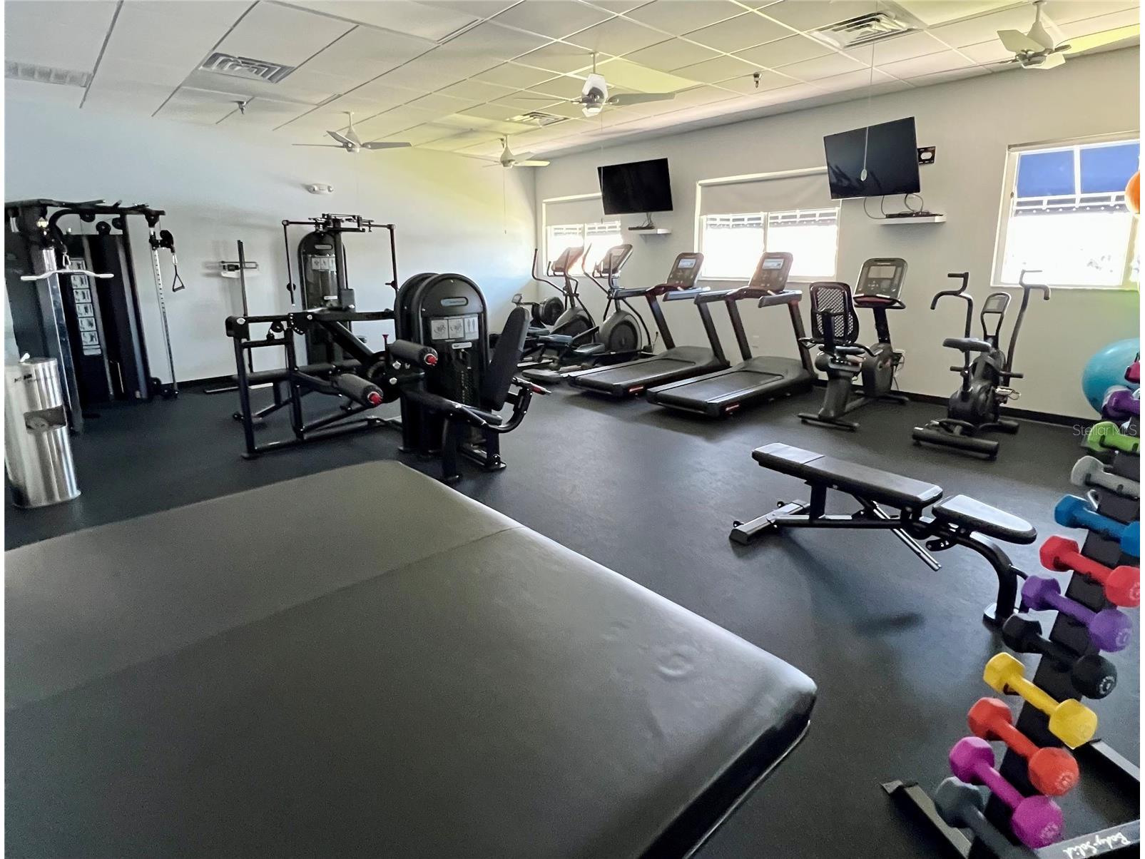 7316 Americana Drive NE #146 Saint Petersburg FL 33702 TB8471847 image30