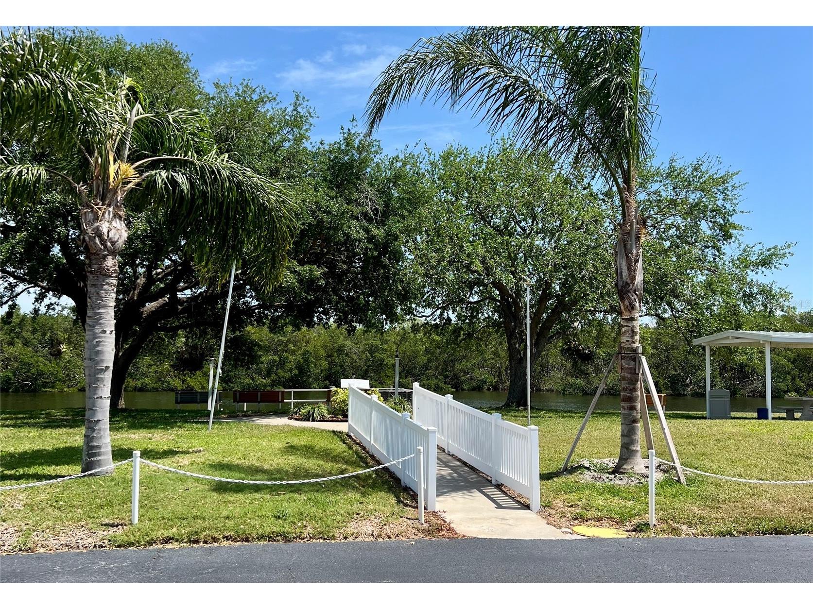 7316 Americana Drive NE #146 Saint Petersburg FL 33702 TB8471847 image34