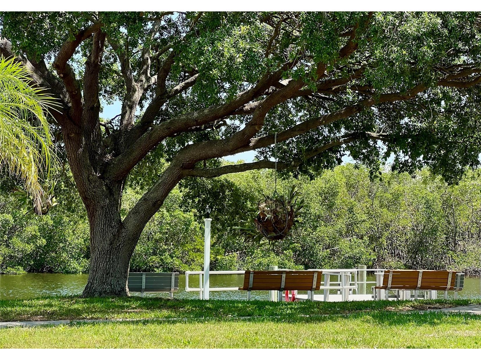 7316 Americana Drive NE #146 Saint Petersburg FL 33702 TB8471847 image35