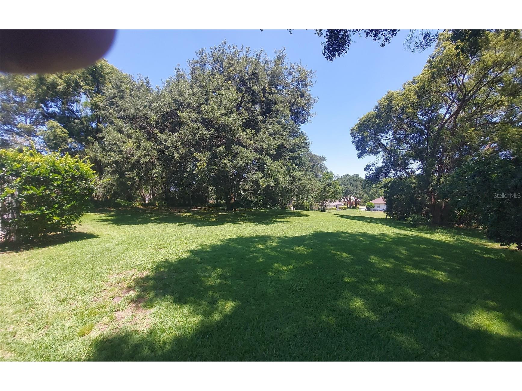 7316 Chesterhill Circle Mount Dora FL 32757 G5112542 image10
