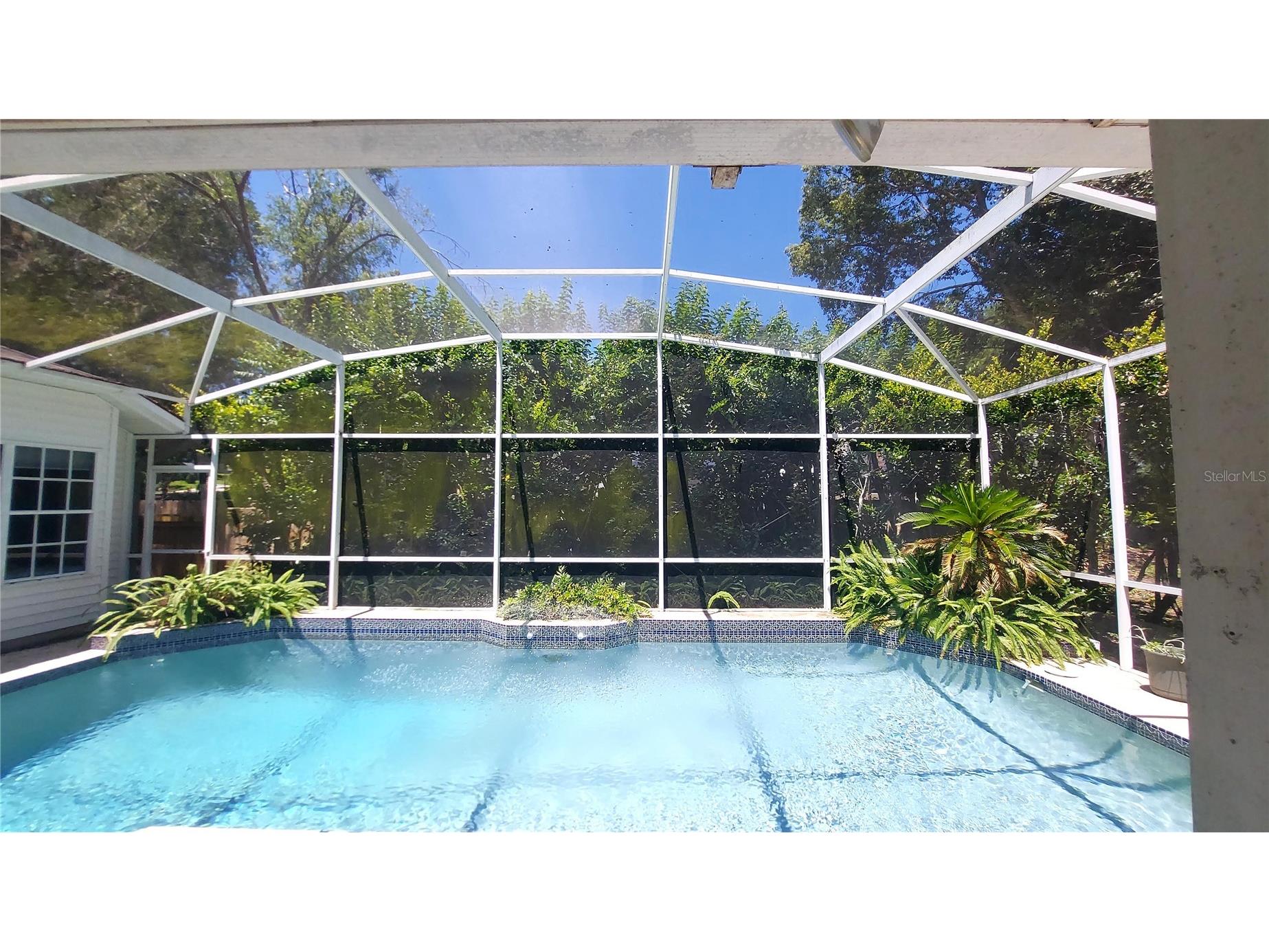 7316 Chesterhill Circle Mount Dora FL 32757 G5112542 image13