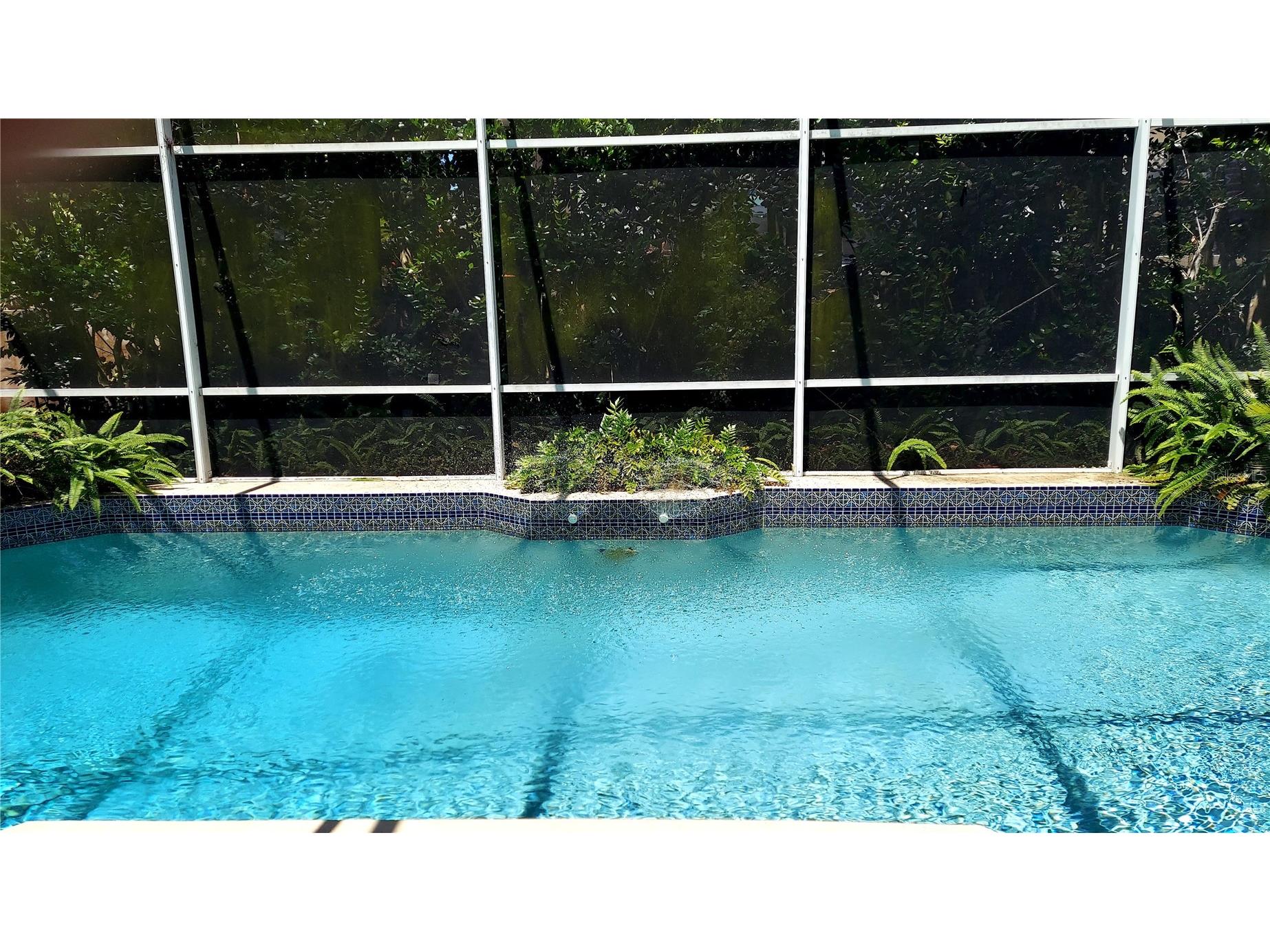 7316 Chesterhill Circle Mount Dora FL 32757 G5112542 image14