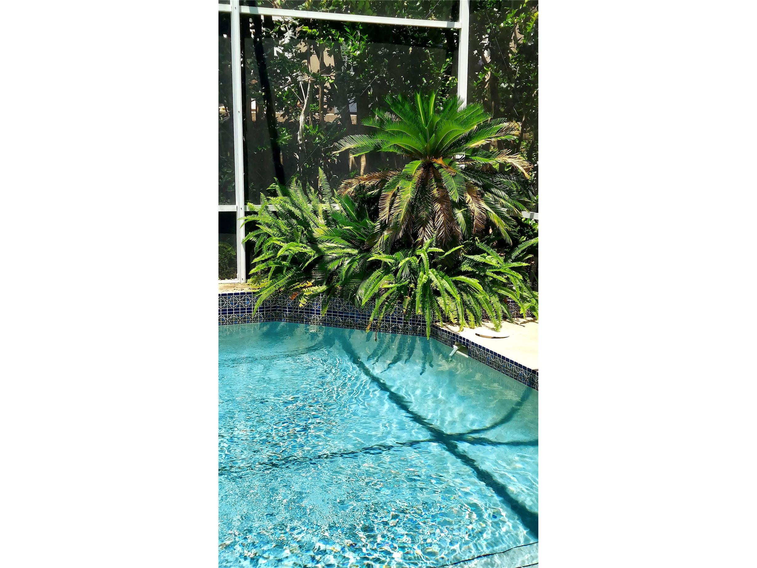 7316 Chesterhill Circle Mount Dora FL 32757 G5112542 image15