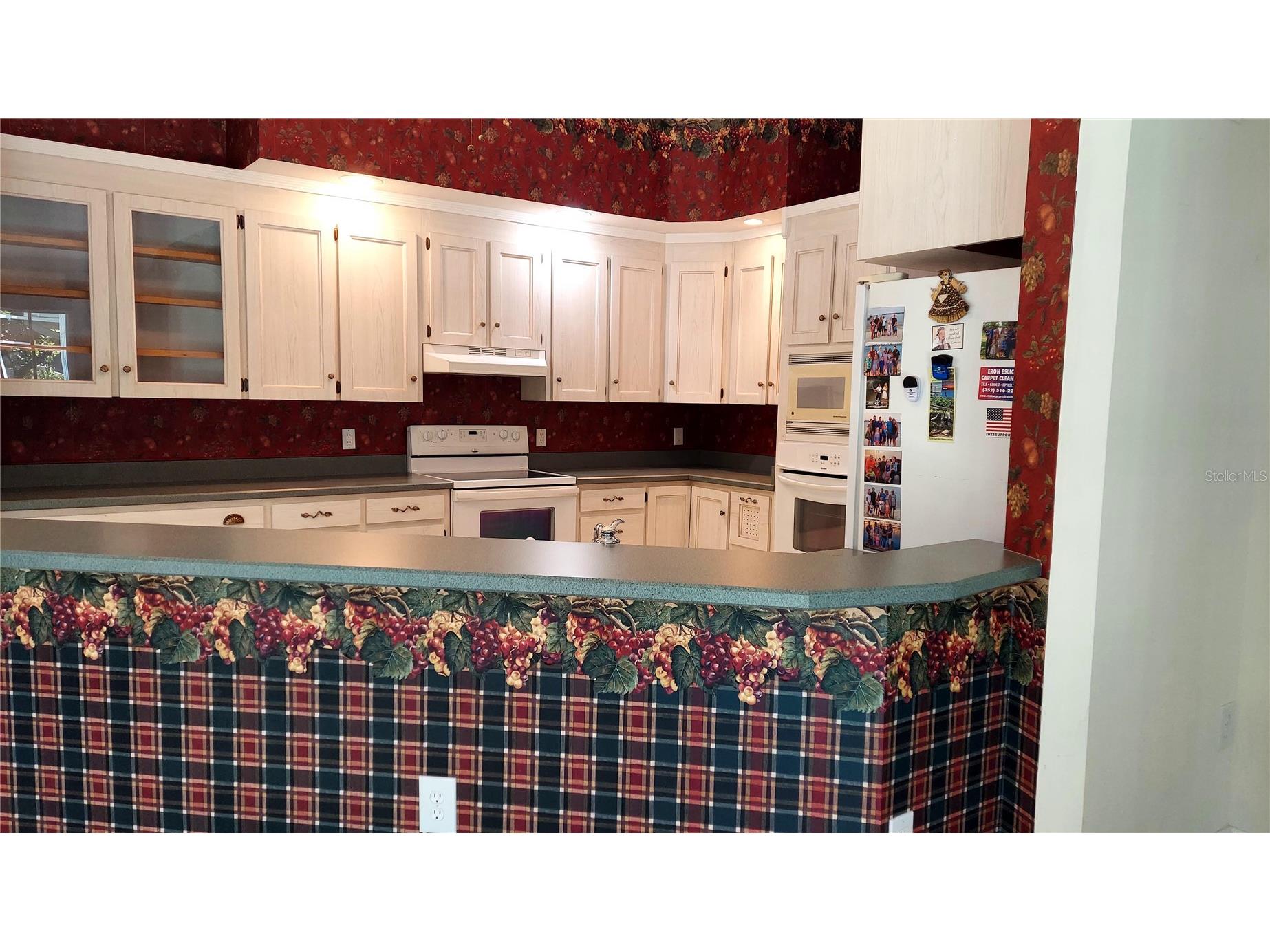 7316 Chesterhill Circle Mount Dora FL 32757 G5112542 image18