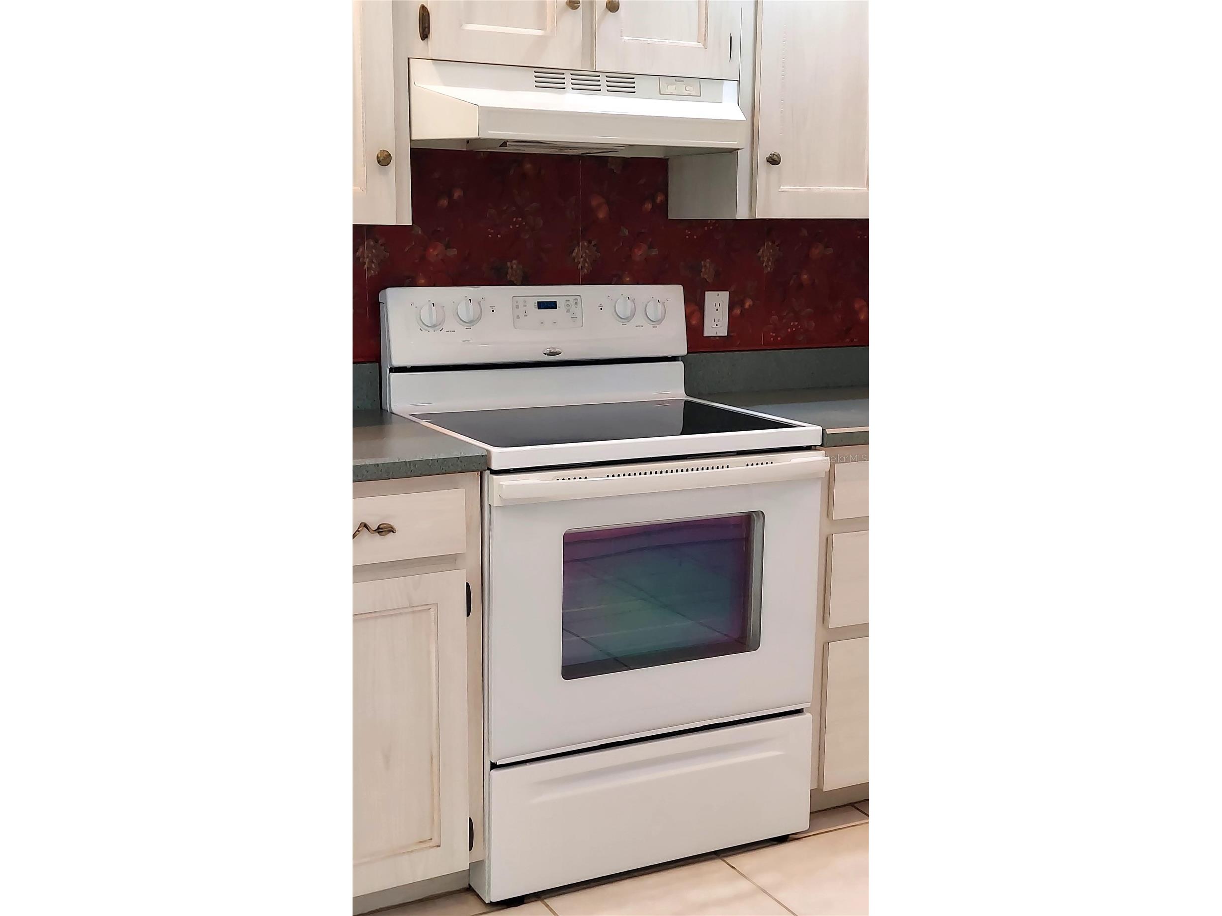 7316 Chesterhill Circle Mount Dora FL 32757 G5112542 image25