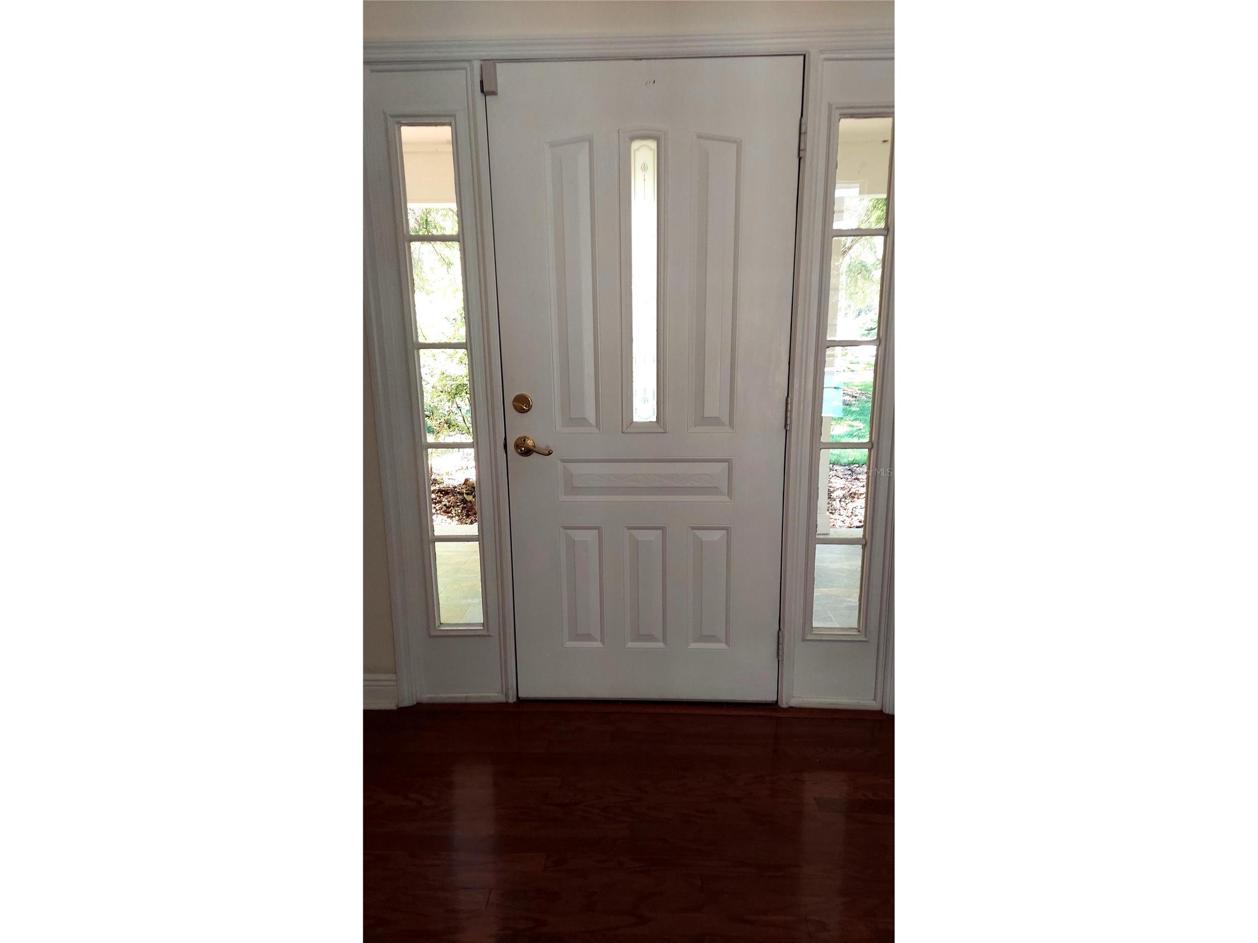 7316 Chesterhill Circle Mount Dora FL 32757 G5112542 image30